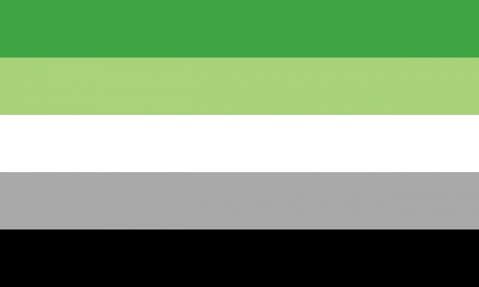 New Launch Aromantic Pride Flag ⭐️ Update 2024