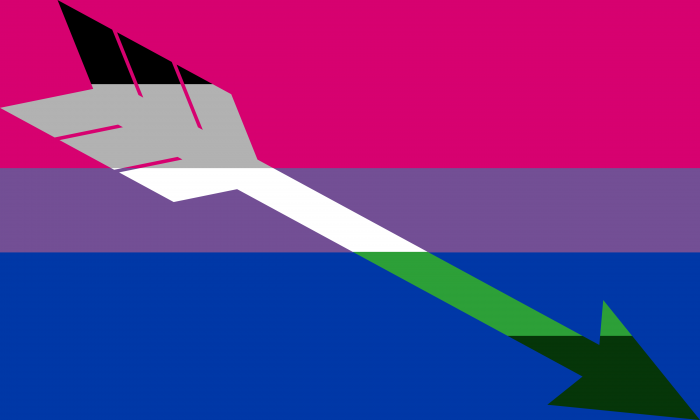 Bisexual GrayAromantic Pride Flag PN0112 2x3 ft (60x90 cm) / Arrow Official PAN FLAG Merch