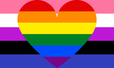 Genderfluid Gay Pride Flag PN0112 2x3 ft (60x90 cm) Official PAN FLAG Merch