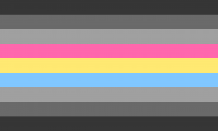 Gray Pansexual Pride Flag PN0112 2x3 ft (60x90 cm) Official PAN FLAG Merch
