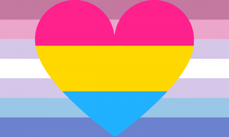 Bigender Pansexual Combo Pride Flag | Aromantic Flag Store PN2101 ...