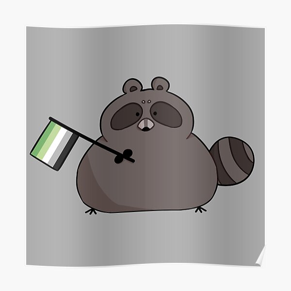 Aromantic raccoon Poster RB1901 product Offical Aromantic Flag Merch