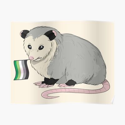 Aromantic Pride Flag Opossum Poster RB1901 product Offical Aromantic Flag Merch