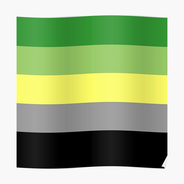 AROMANTIC FLAG Poster RB1901 product Offical Aromantic Flag Merch
