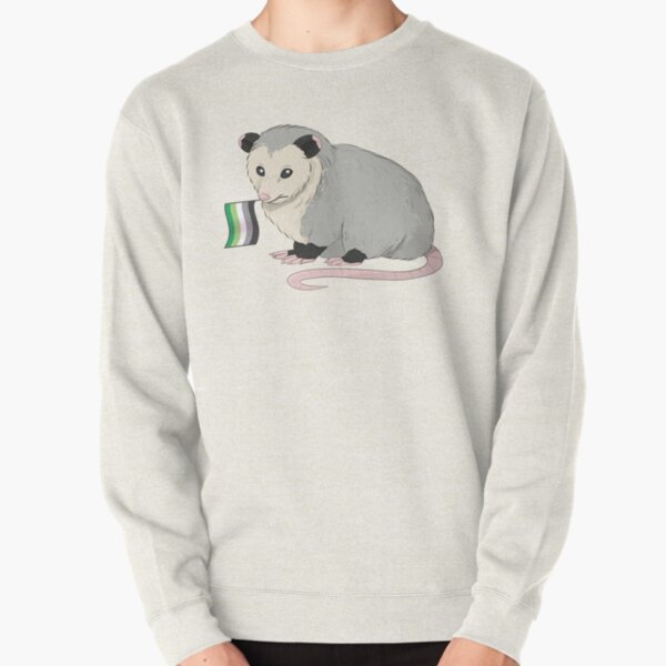 Aromantic Pride Flag Opossum Pullover Sweatshirt RB1901 product Offical Aromantic Flag Merch
