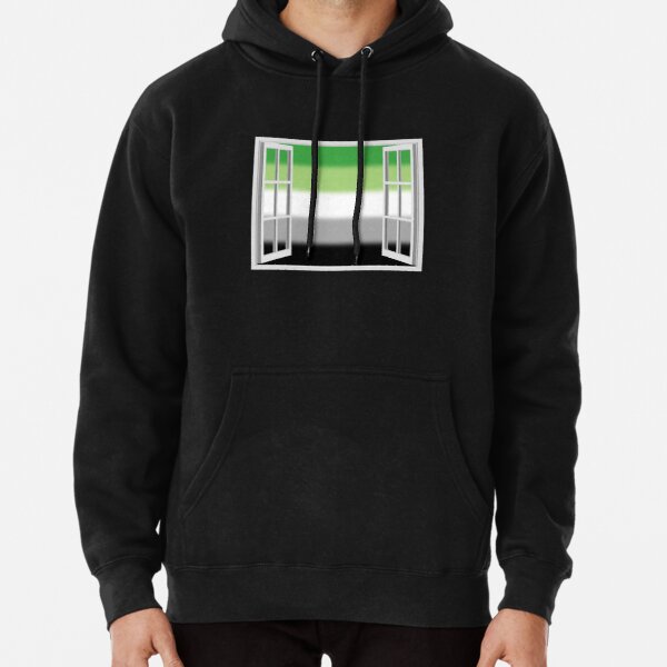 Window Open to Aro Pride Flag Pullover Hoodie RB1901 product Offical Aromantic Flag Merch