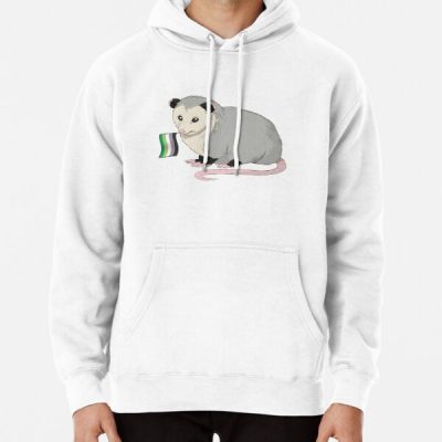 Aromantic Pride Flag Opossum Pullover Hoodie RB1901 product Offical Aromantic Flag Merch