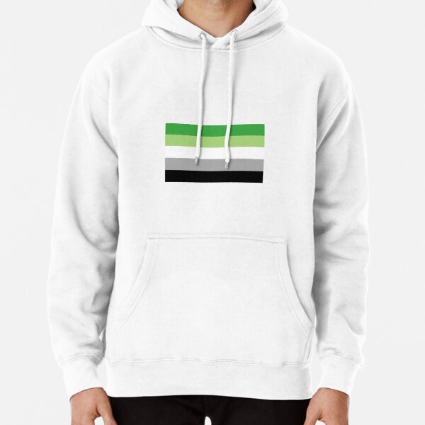 Aromantic Pride Flag Pullover Hoodie RB1901 product Offical Aromantic Flag Merch