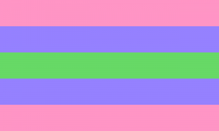 Trigender Pride Flag PN0112 2x3 ft (60x90 cm) Official PAN FLAG Merch