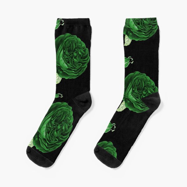 Aro Pride Vintage Flower and Leaves Socks RB1901 product Offical Aromantic Flag Merch